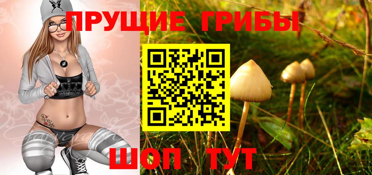 Звенигород  Галлюциногенные грибы Cubensis  Псилоцибиновые грибы MAGIC MUSHROOMS  Вход с VPN 